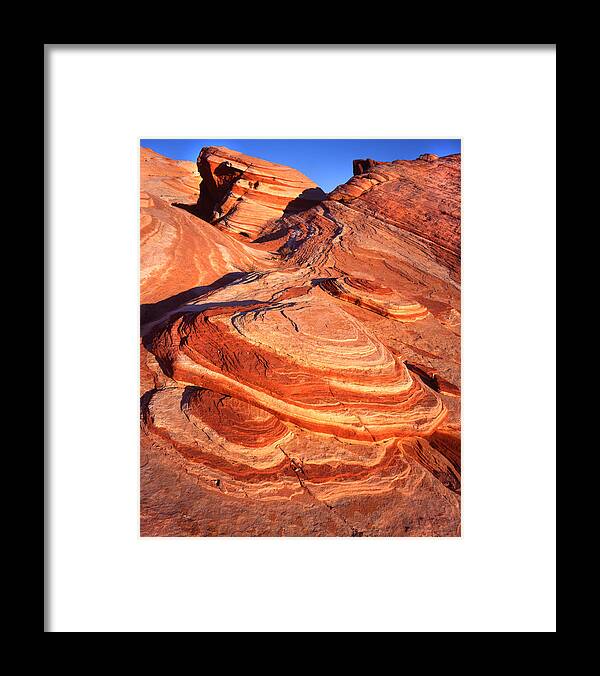 Wilderness Framed Print featuring the photograph Candy Drops by Ray Mathis