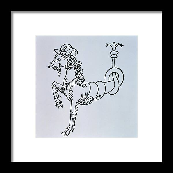 Capricorn Framed Print featuring the drawing Capricorn by Italian School