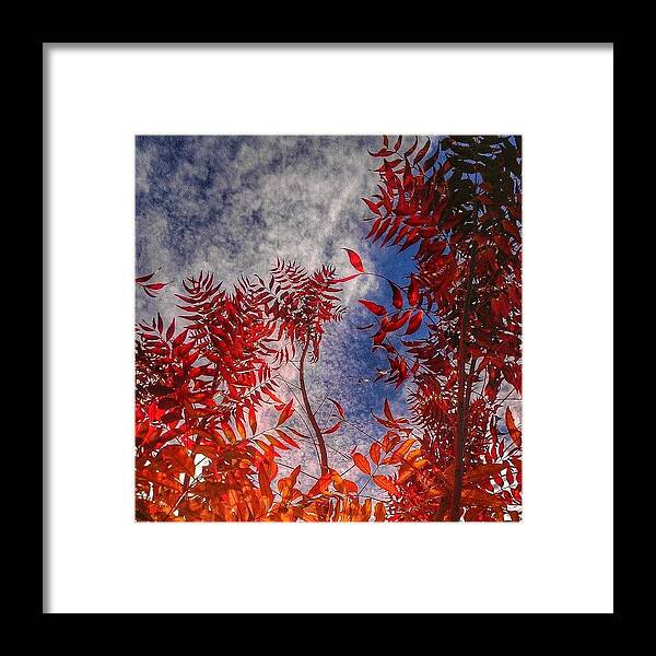  Framed Print featuring the photograph Catharsis #1 by CML Brown
