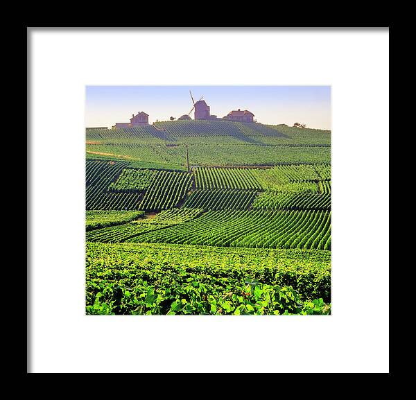 Viewpoint Framed Print featuring the photograph Champagne #1 by Kodachrome25