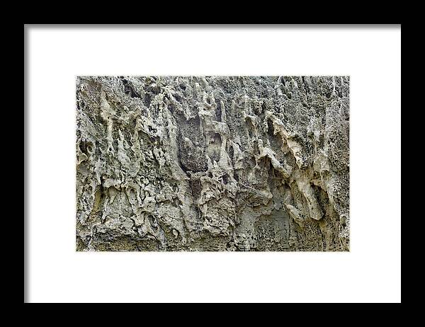 Rhizolith Framed Print featuring the photograph Cliff Face With Exposed Rhizoliths #1 by Dr Jeremy Burgess/science Photo Library