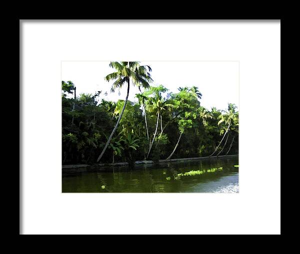 Alleppey Framed Print featuring the digital art Coconut trees and other plants in a creek #1 by Ashish Agarwal