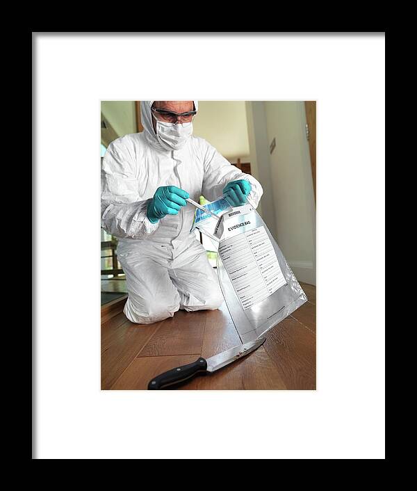 Crime Framed Print featuring the photograph Collecting Forensic Evidence #1 by Tek Image/science Photo Library