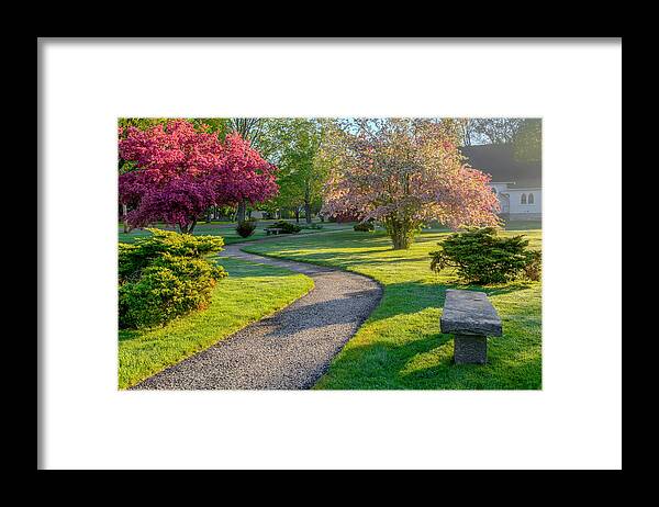 Spring Framed Print featuring the photograph Color of Spring #2 by Bill Wakeley