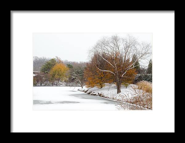 Winter Framed Print featuring the photograph Colors of Winter #1 by Julie Palencia