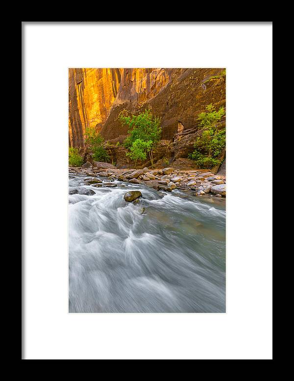 Zion Framed Print featuring the photograph Cottonwood Alley #1 by Chuck Jason