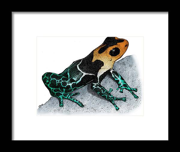 Red-headed Poison Dart Frog Framed Print featuring the photograph Crowned Poison Frog #1 by Roger Hall