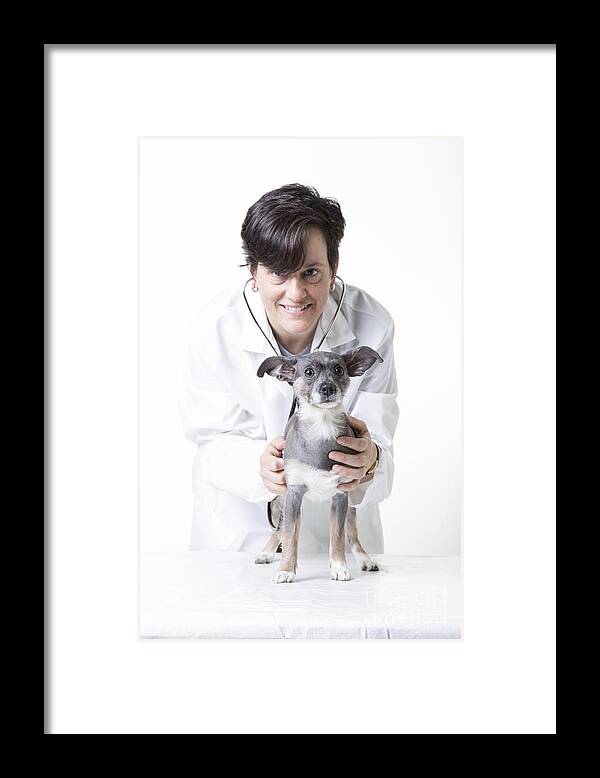 Dog Framed Print featuring the photograph Cute little dog at the vet #1 by Edward Fielding