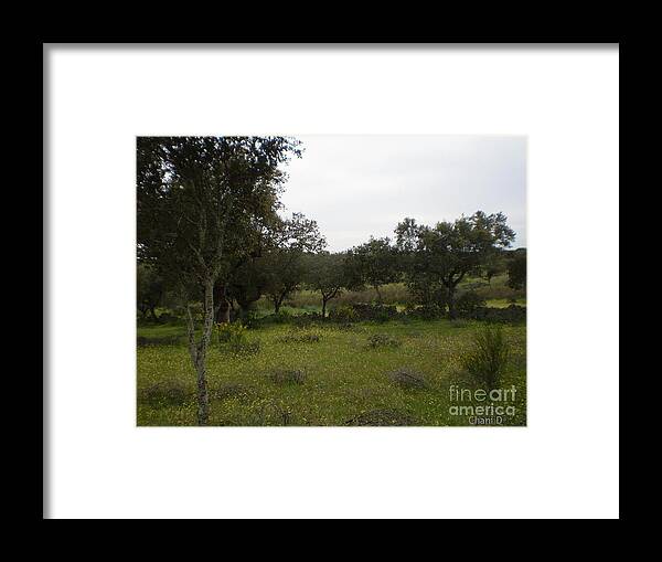 Dehesa Framed Print featuring the photograph Dehesa in extremadura #1 by Chani Demuijlder