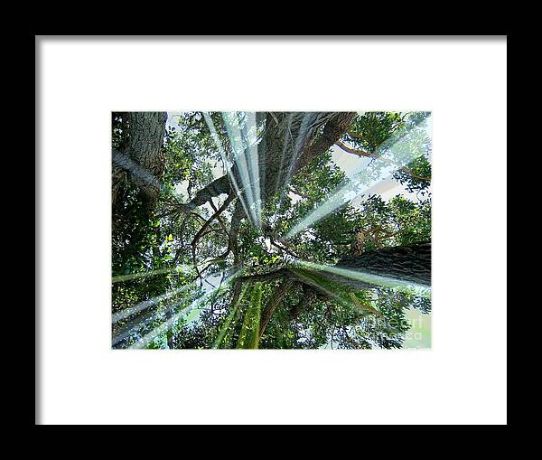 Trees Framed Print featuring the mixed media Divinity In Nature by Leanne Seymour
