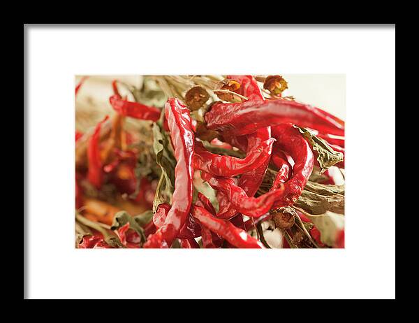 Spice Framed Print featuring the photograph Dried Chili Peppers #1 by Brian Yarvin