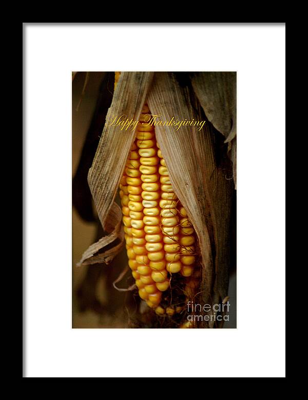 Dried Corn Framed Print featuring the photograph Dry Corn Husk #1 by Living Color Photography Lorraine Lynch