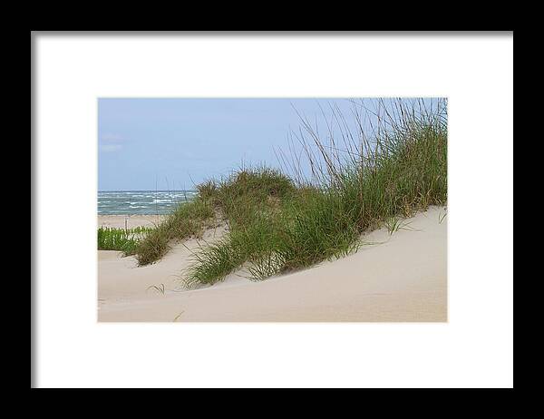 Dune Framed Print featuring the photograph Dunes and Grasses 10 #1 by Cathy Lindsey