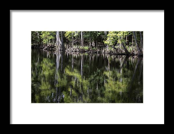 Emerald Reflections Framed Print featuring the photograph Emerald Reflections #1 by Lynn Palmer