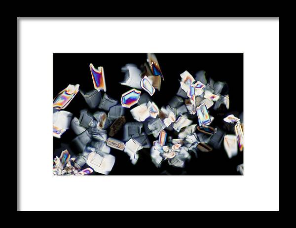 Ascorbic Acid Framed Print featuring the photograph Energy Drink (Light Micrograph) #1 by Science Photo Library