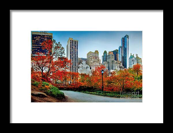 Central Park Framed Print featuring the photograph Fall In Central Park by Az Jackson