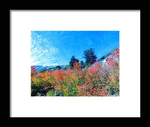 Sky Framed Print featuring the photograph Fall Is Here #2 by Marilyn Diaz