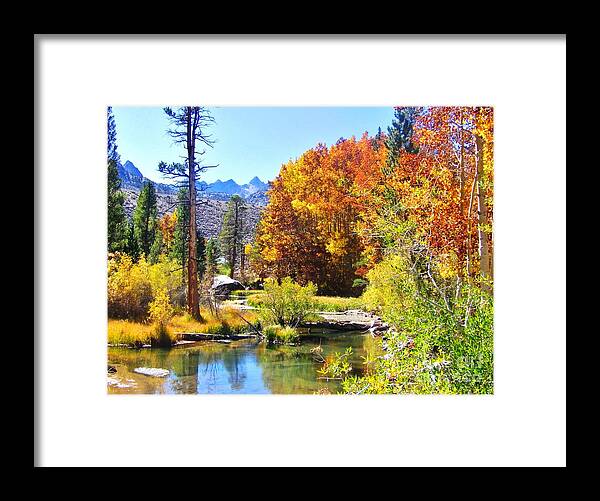 Sky Framed Print featuring the photograph Falling #1 by Marilyn Diaz