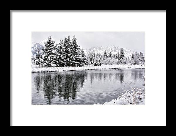 Grand Tetons Framed Print featuring the photograph First Snow #1 by Erika Fawcett