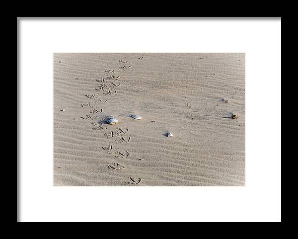 Sand Framed Print featuring the photograph Footprints #2 by Cathy Kovarik