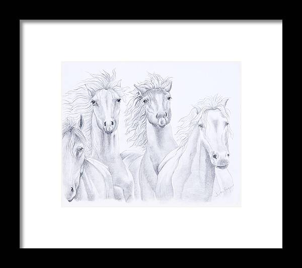 Horse Prints Framed Print featuring the drawing Four For Freedom by Joette Snyder