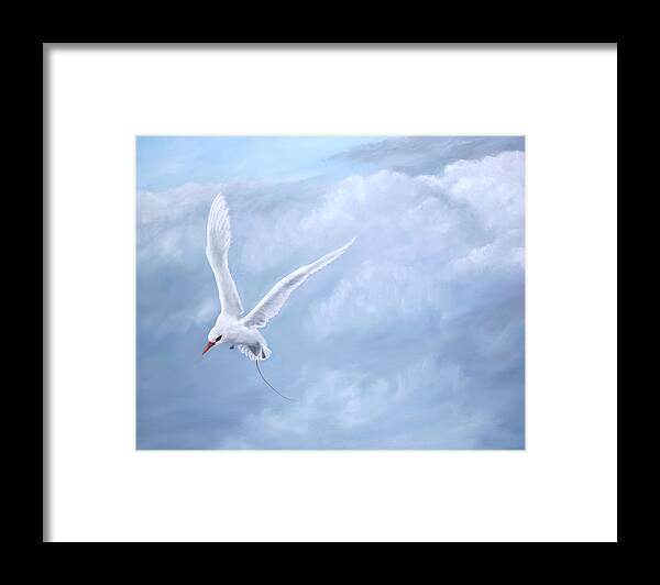 Red Tailed Tropicbird Framed Print featuring the painting Freedom #1 by Dorothea Hyde