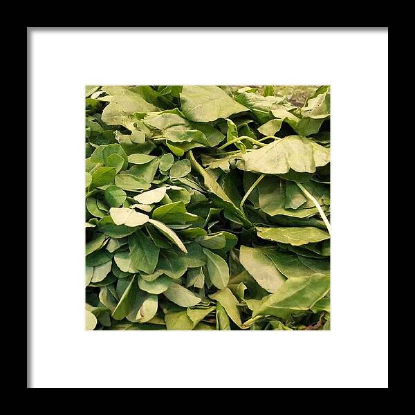 Shopping Framed Print featuring the photograph #fresh #vegetable #shopping #food #1 by Vijay Patel