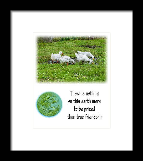 Poster Framed Print featuring the photograph Friendship #1 by Cathy Kovarik