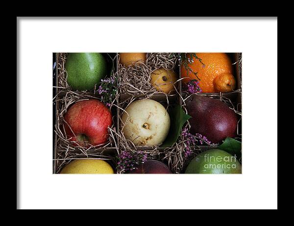 Basket Framed Print featuring the photograph Fruit Basket #1 by Photo Researchers, Inc.