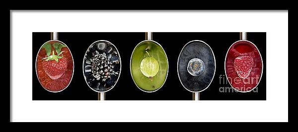 Fruit Framed Print featuring the photograph Fruit Spoons on Black by Tim Gainey