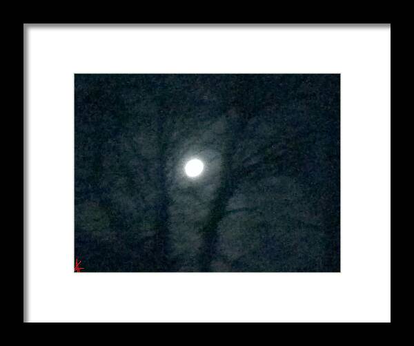 Colette Framed Print featuring the photograph Fullmoon in Between the Trees #1 by Colette V Hera Guggenheim