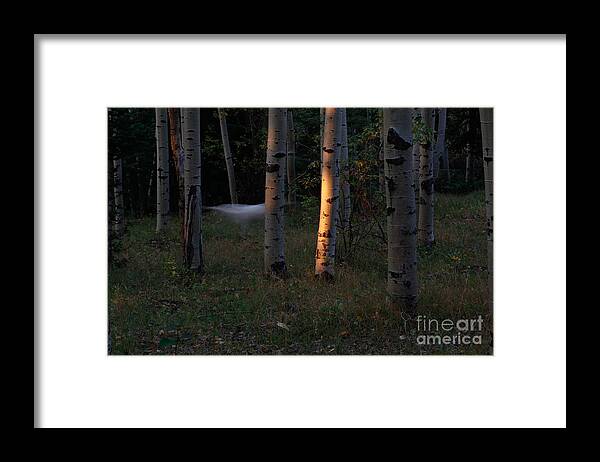 Halloween Framed Print featuring the photograph Ghostly Apparition by Roselynne Broussard