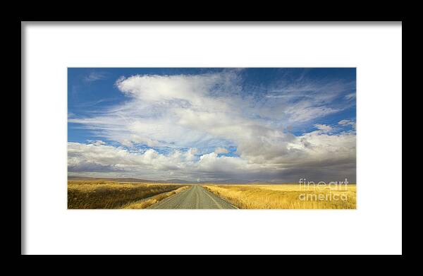 00431181 Framed Print featuring the photograph Grasses And Clouds Klamath Basin by Yva Momatiuk John Eastcott