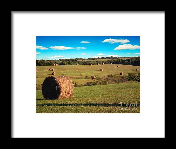 Kansas Framed Print featuring the photograph Hay Fields #1 by Rex E Ater