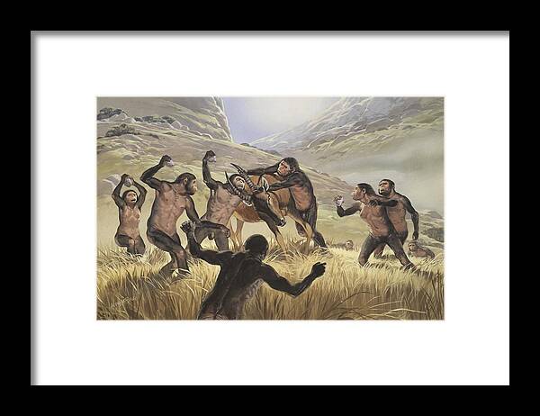 Africa Framed Print featuring the photograph Homo habilis hunting, artwork #1 by Science Photo Library