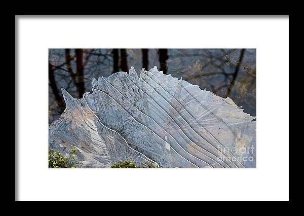 Maine Framed Print featuring the photograph Ice on creek by Steven Ralser