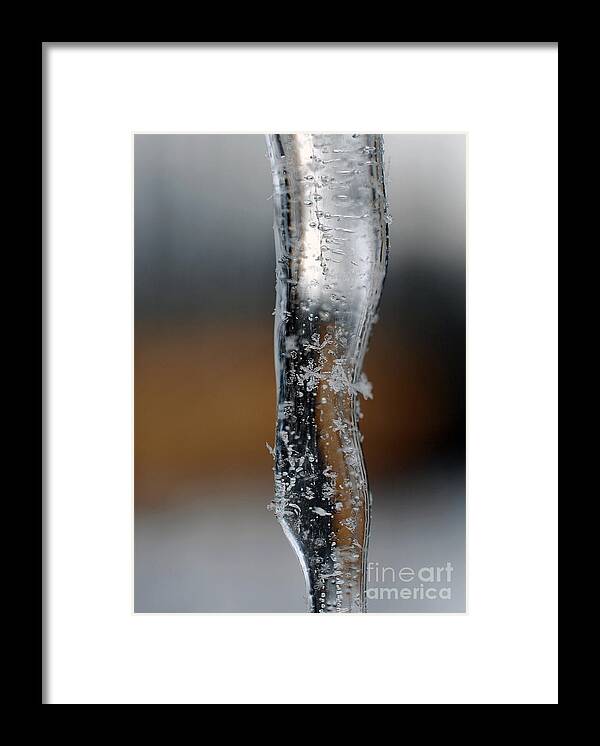 Icicle Framed Print featuring the photograph Icicle and Snowflakes #1 by Lila Fisher-Wenzel