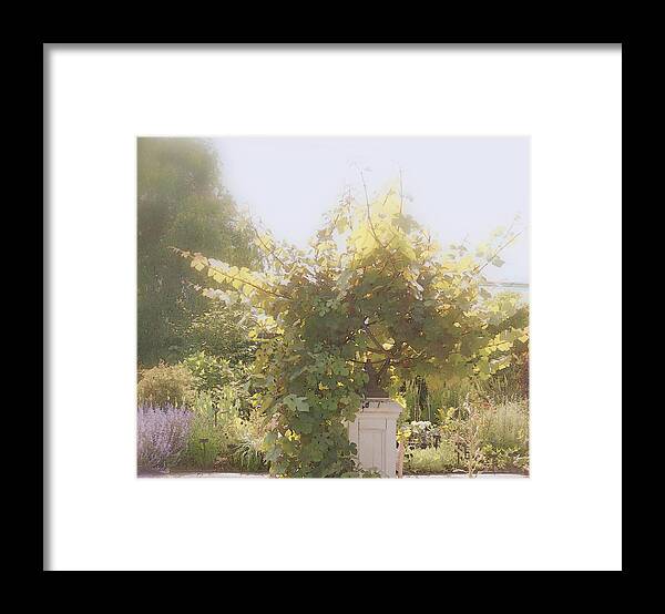 Garden Framed Print featuring the photograph Indian Summer Garden #1 by Margie Avellino