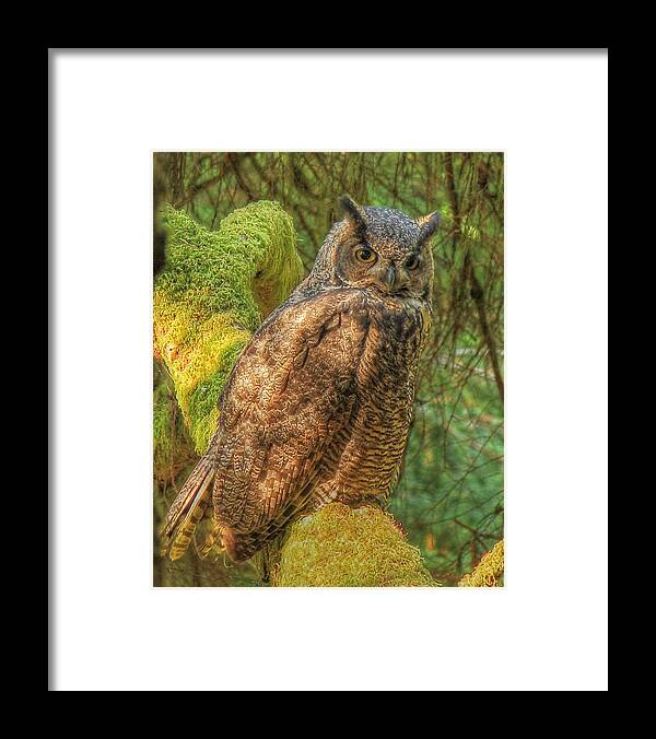 Great Horned Owl Framed Print featuring the photograph Its My Day by Randy Hall