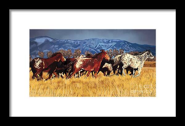 Mustang Framed Print featuring the painting Joe's horses #1 by Tim Gilliland