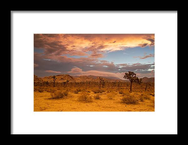 Joshua Tree Sunrise Framed Print featuring the photograph Joshua sunrise #1 by Kunal Mehra