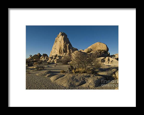 Nature Framed Print featuring the photograph Joshua Tree National Park #1 by William H. Mullins