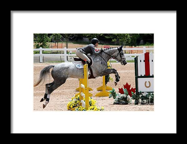 Equestrian Framed Print featuring the photograph Jumper101 #1 by Janice Byer