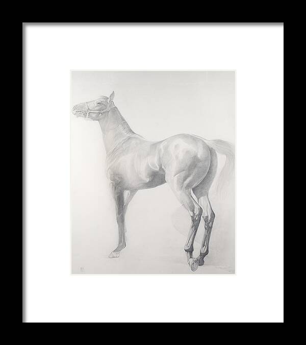 Animal Framed Print featuring the drawing Kicking Off by Emma Kennaway