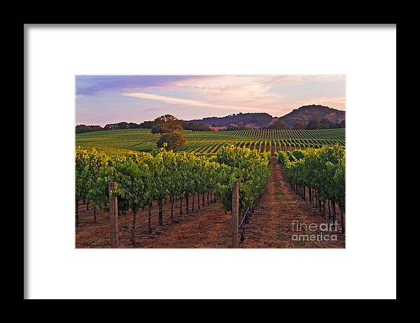Calistoga Framed Print featuring the photograph Knight's Valley Summer Solstice #1 by Charlene Mitchell
