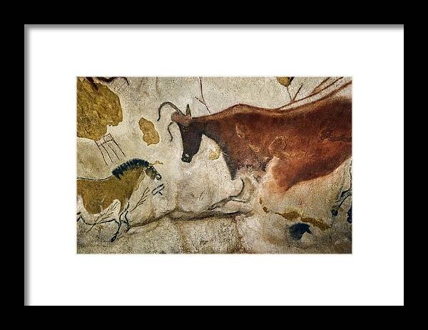 Cave Painting Framed Print featuring the photograph Lascaux II cave painting replica #1 by Science Photo Library