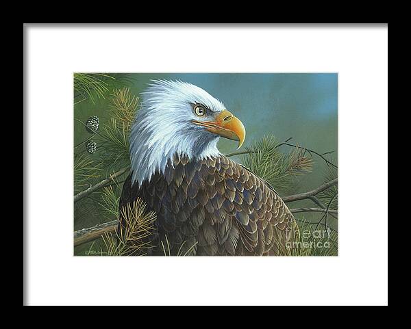 Bald Eagle Paintings Framed Print featuring the painting Legacy by Mike Brown