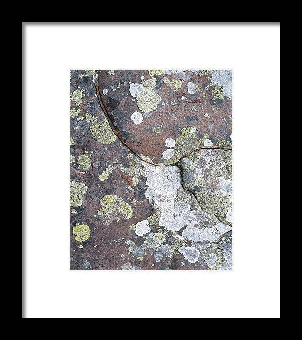 Rock Framed Print featuring the photograph Lichen #1 by Simon Fraser/science Photo Library