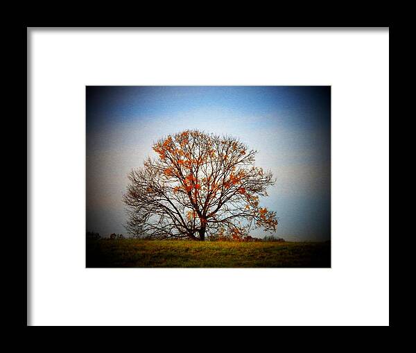 Virginia Framed Print featuring the photograph Lone Tree #1 by Joyce Kimble Smith