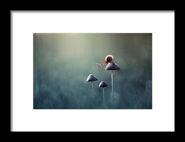 Macro Framed Print featuring the photograph Lonely #1 by Edy Pamungkas